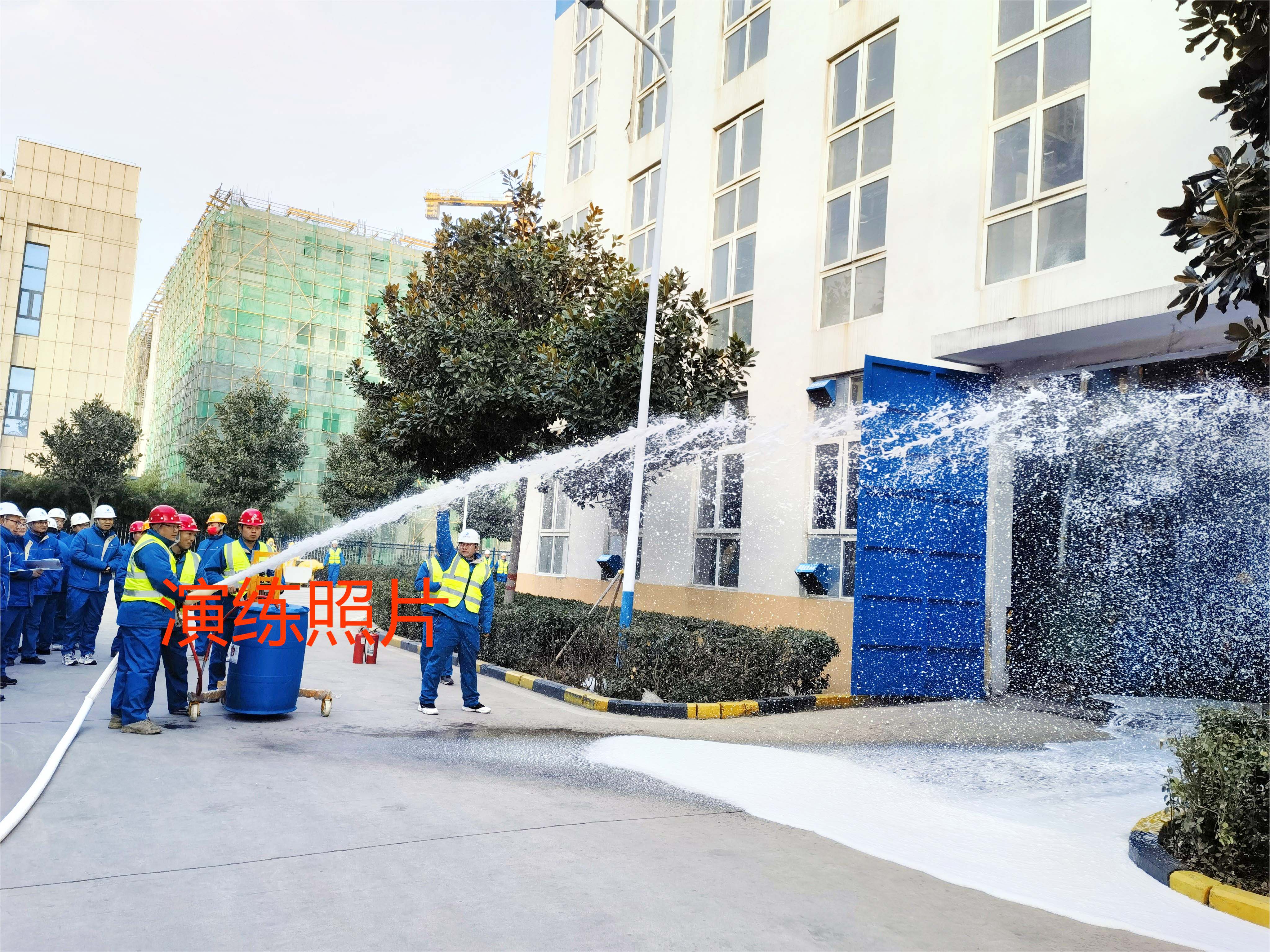 1703469869125424.jpg 1.jpg